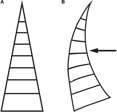 Fin Ray® Effect Inspired Soft Robotic Gripper: From the RoboSoft Grand Challenge toward Optimization